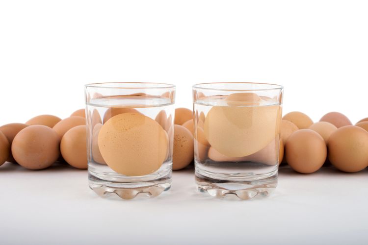 Ilustrasi cara mengecek telur segar dengan direndam dalam air. 