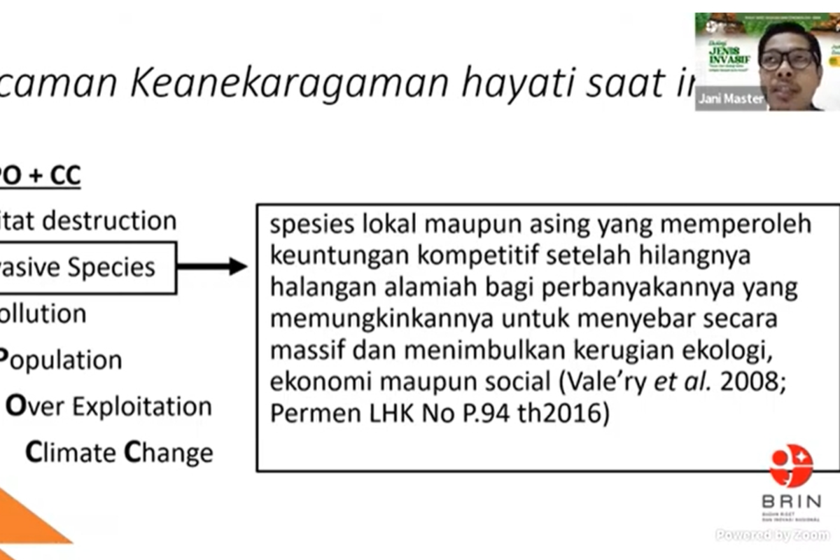 
Pakar biologi dari Universitas Lampung (Unila) Dr Jani Master memberikan materi dalam diskusi daring yang digelar Pusat Riset Ekologi dan Etnobiologi, Badan Riset dan Inovasi Nasional (BRIN), Senin (3/6/2024).  