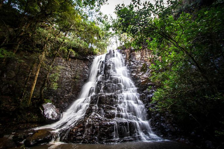 Air terjun menjadi kolam mandi alami di Away  With the Fairies Hostel, Hogsback, Afrika Selatan