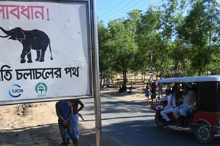 Sebuah plang bertuliskan peringatan - jalur bagi gajah liar ini berada di dekat kamp pengungsi Rohingya di Balukhali, Banglades.