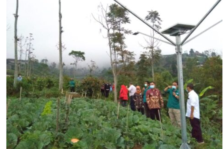 Growth lamp tenaga surya Universitas Brawijaya (UB) mampu meningkatkan produktivitas tanaman bawang merah pada malam hari.
