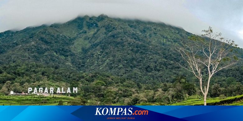 Desa Wisata Tebet Lereh di Sumatera Selatan, Andalkan Panorama Alam - Vimarsana News