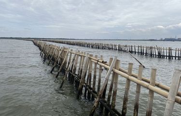 Paypoqdagi uy bekasi ning ruscha tarjimasi