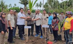 Lewat Gerakan LTT, Kementan Optimalkan Lahan dengan Integrasi Kelapa dan Jagung