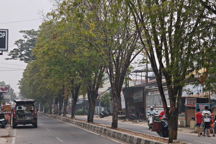 Asap Karhutla Samarinda Pekat, Pedagang Keliling Mengeluh Sesak Napas