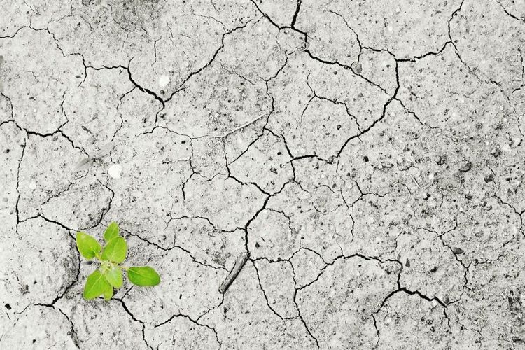 Daftar Wilayah di Jawa Timur yang Masuk Musim Kemarau Lebih Awal April 2026