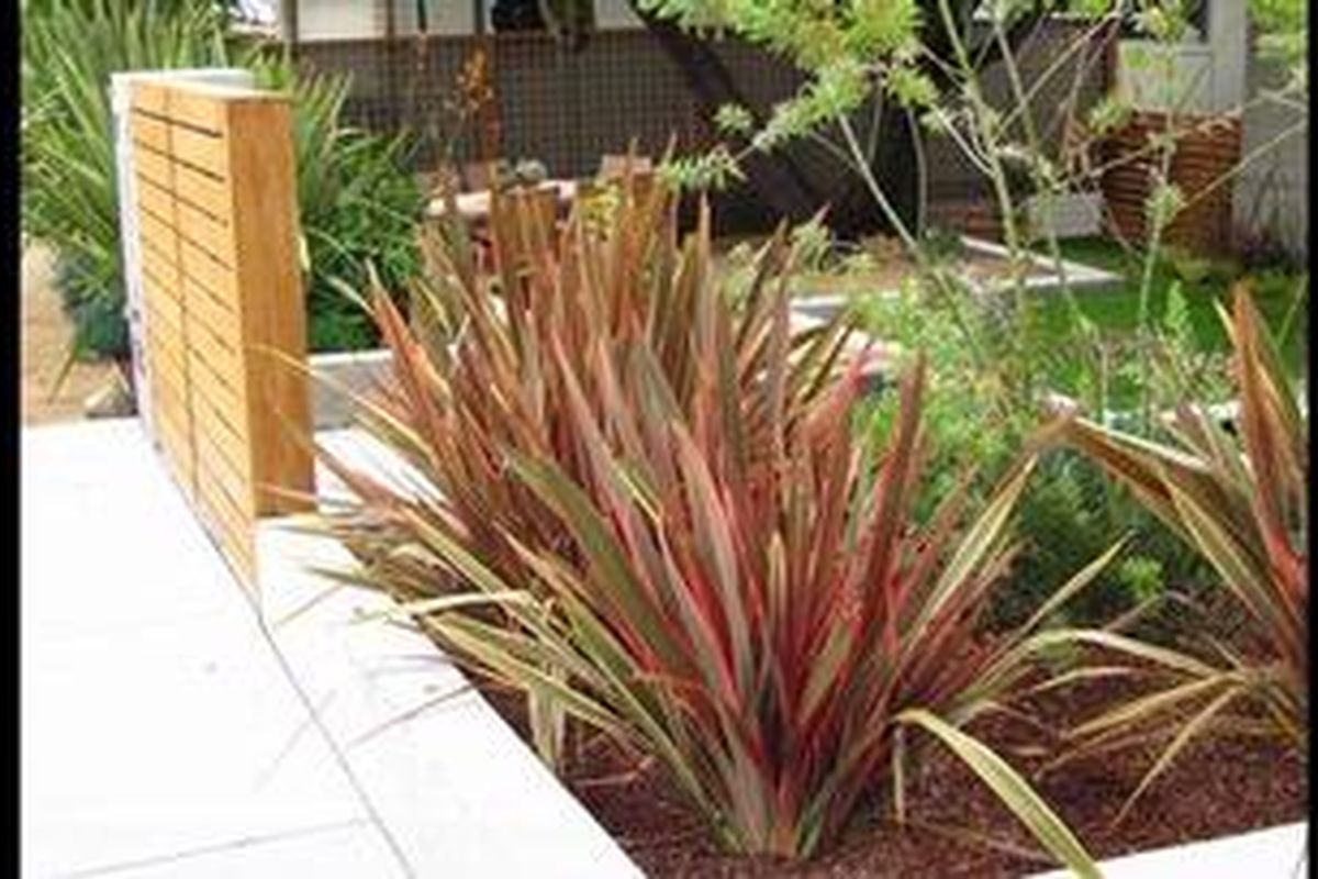 Tak sulit untuk Anda membangkitkan kesenangan terhadap taman. Saat ini, berbagai referensi gardening semakin kaya dan mudah ditemukan, baik di majalah, pameran-pameran, maupun internet.