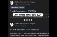 Tak Sengaja Daftar CASN Papua Barat, Apakah Masih Bisa Ikut CPNS 2024?