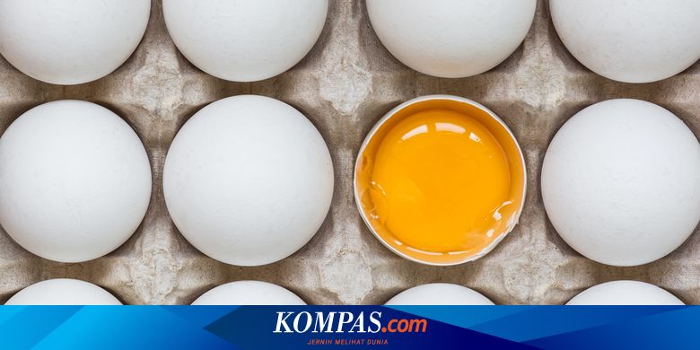 Klarifikasi Konsumsi Kuning Telur Mentah Diklaim Bisa Cerdaskan Anak Halaman All Kompas Com