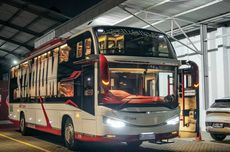 Penemuan Rafflesia Hasseltii di Sumbar, Ilmuwan Indonesia Berperan Kunci