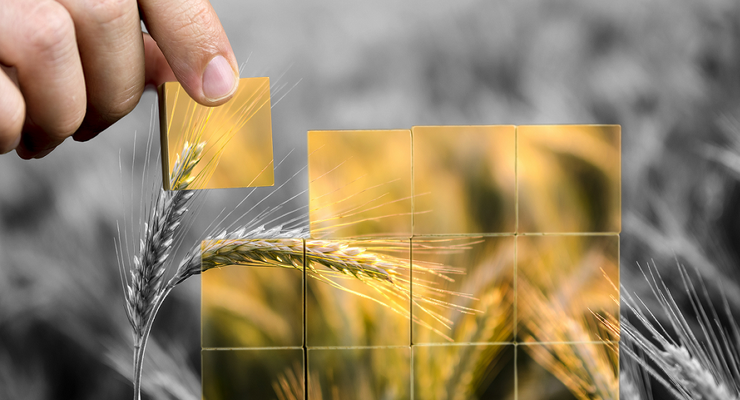 Makanan sebagai Alat Politik