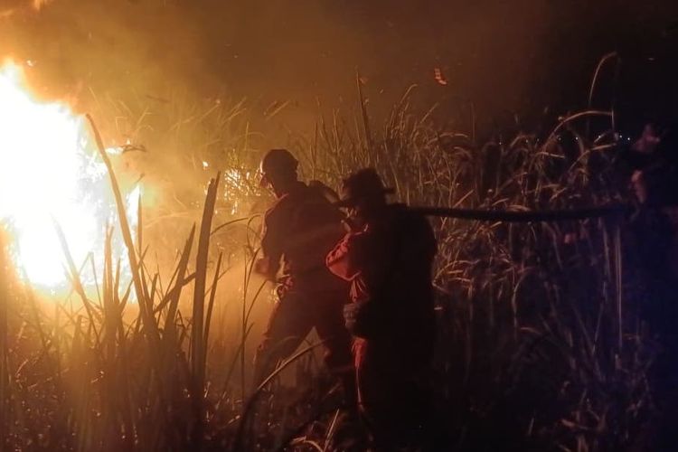 Karhutla di Sumsel Terus Meluas, Palembang Dikhawatirkan Dikepung Kabut Asap