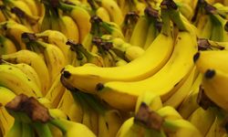 Perubahan Iklim Ancam Masa Depan Pisang 