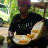 Wisata ke Gunungkidul, Jangan Lupa Beli Durian Kencono Rukmi yang Unik