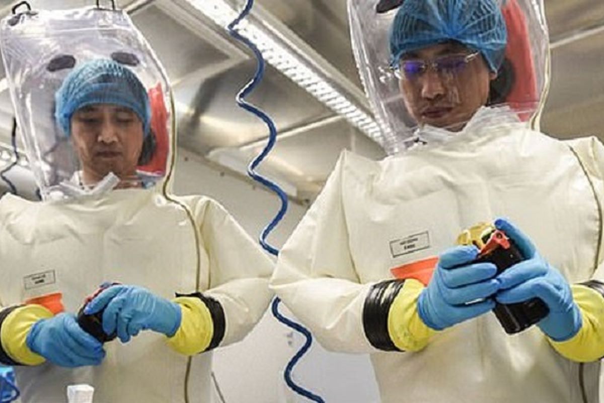 Dua peneliti dari Institut Virologi Wuhan tengah melakukan penelitian. Laboratorium tersebut disebut meneliti kelelawar dari goa yang diduga merupakan asal patogen virus corona.