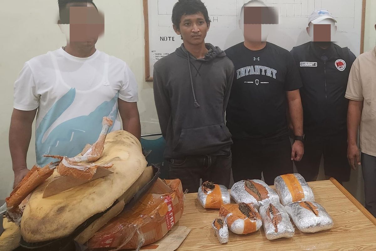 MS (22) ditangkap karena ketahuan ingin mengirim ganja ke Kalimantan melalui ekspedisi di Kecamatan Percut Sei Tuan, Kabupaten Deli Serdang pada Kamis (5/8/2024). 