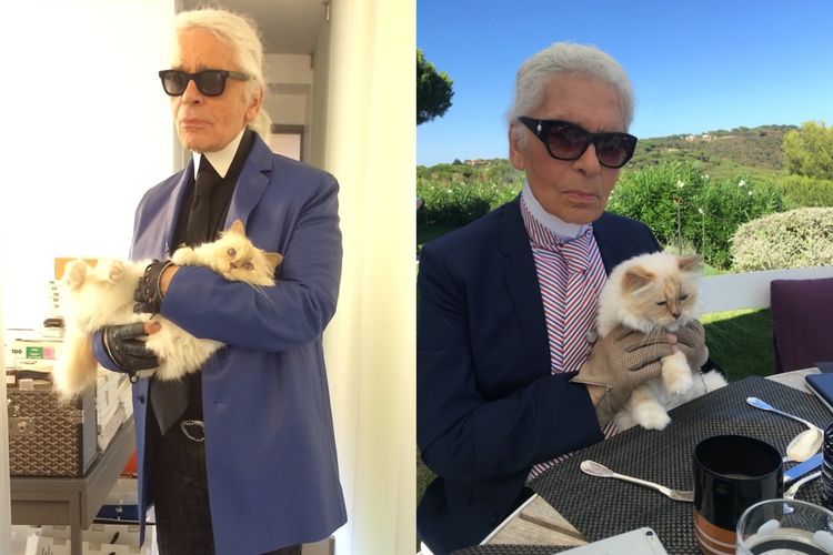 Kisah Choupette, Kucing Karl Lagerfeld yang Dapat Warisan Triliunan Rupiah