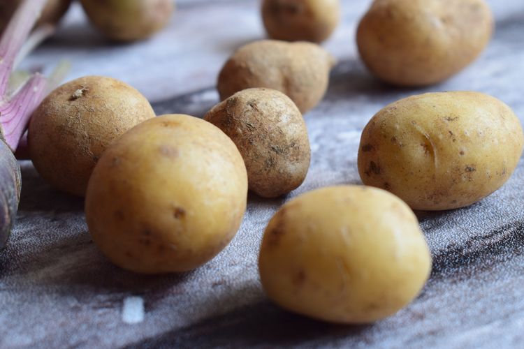 Ilustrasi kentang segar, kentang rebus