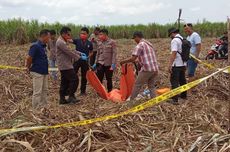 Kerangka Manusia Ditemukan di Kebun Tebu Lumajang, Diduga Sudah 2 Tahun