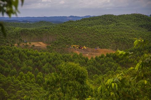 Tender Proyek IKN Dibuka, Kadin Berharap Swasta Lokal Dapat Prioritas