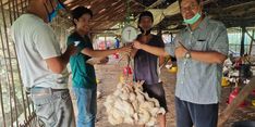 Kementan Ingatkan Perusahaan Mitra untuk Membeli Ayam dari Peternak Mandiri