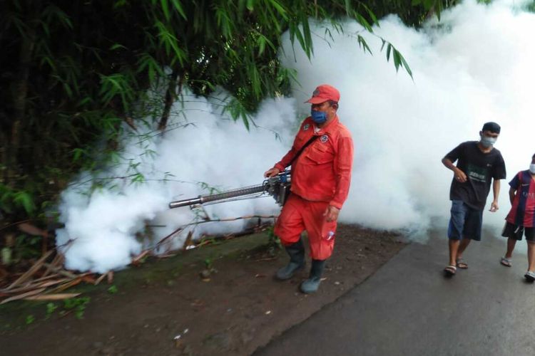 Salah seorang petugas sedang melakukan fogging mengusir nyamuk penyebab penyakit demam berdarah dengue (DBD) di salah satu wilayah Kota Tasikmalaya, Kamis (25/6/2020).