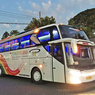 Bus Baru Putra Pelangi, Sasis Tronton dengan Sentuhan Aksen Pink