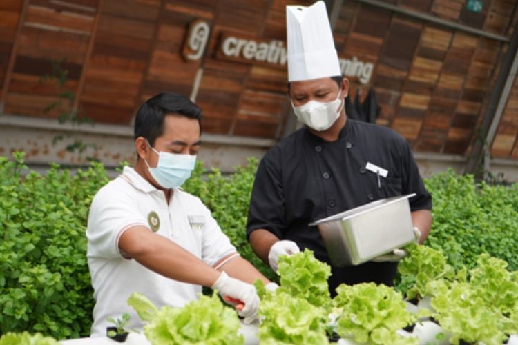 Creative farming di Greenhost Hotel.