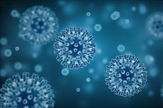 10 Virus Tertua di Dunia, Sudah Ada sejak Ratusan Juta Tahun Lalu