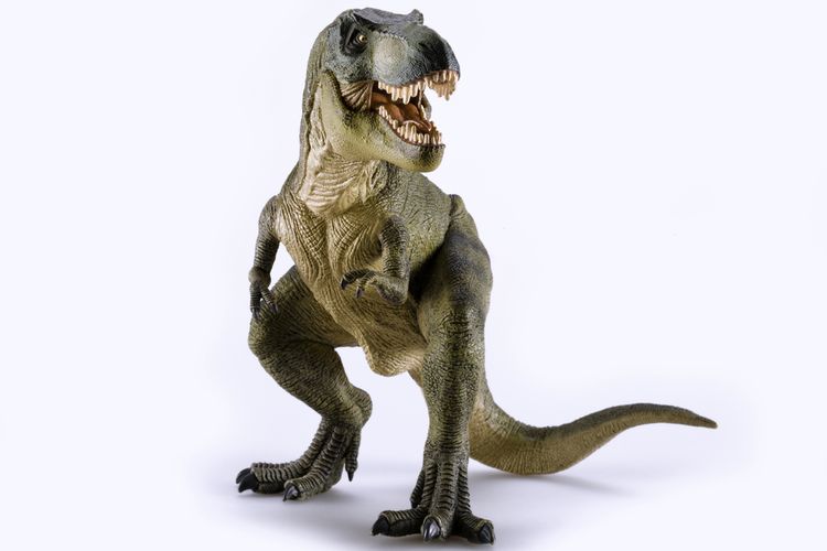 Tyrannosaurus atau T-rex