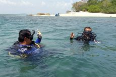 Menjaga Hutan Terumbu Karang di Tengah Tambang Laut Bangka