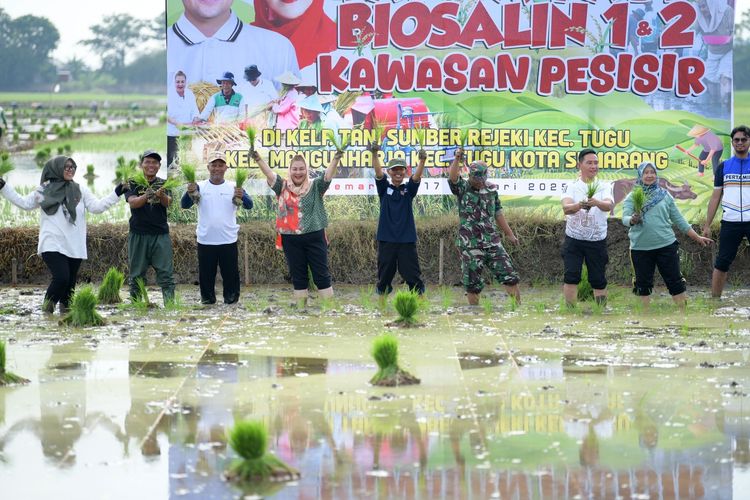 Wali Kota (Walkot) Semarang Hevearita Gunaryanti Rahayu dalam acara Gerakan Pembudayaan Pertanian Perkotaan di Kelurahan Mangunharjo, Kecamatan Tugu, Jumat (17/1/2025). 
