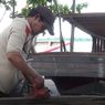 Dari Cangkang Sawit, Listrik Mengalir untuk Produksi Kapal Nelayan di Pulau Tinggi