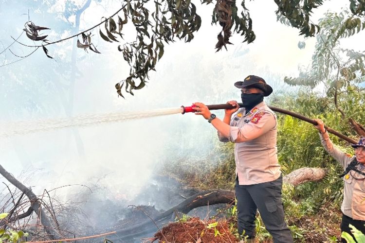 Kebakaran Hutan di Pelalawan Riau, Petugas Diadang Asap dan Minimnya Sumber Air