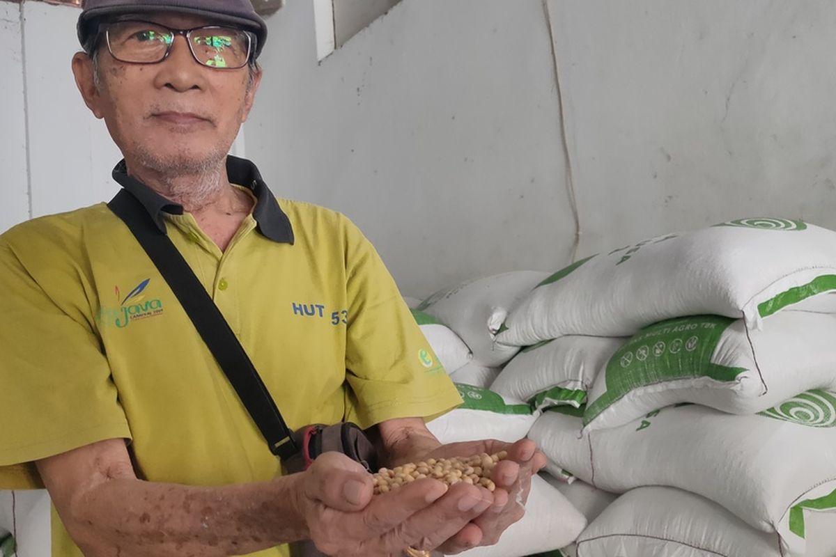 Permintaan kedelai di pedagang besar terpantau stabil. Salah satu gudang pedagang besar di Kapanewon Sentolo Kabupaten Kulon Progo, Daerah Istimewa Yogyakarta.