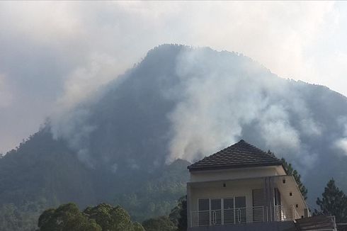 6 Fakta Baru Kebakaran Hutan Gunung Panderman, 60 Hektar Dilalap Api hingga Semua Pendaki Selamat