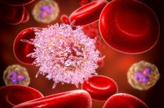 Tanda-tanda Awal Leukemia yang Perlu Diwaspadai