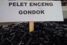 BUMD di Semarang Bisa Bangun Pabrik Briket Berbahan Enceng Gondok