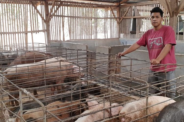 Foto : Leonard Renold Tanto (26), saat berbincang memantau kondisi babi-babi di kandang tepatnya di Desa Nampung Lau, Kecamatan Waigete, Kabupaten Sikka, NTT, Rabu (18/9/2019).