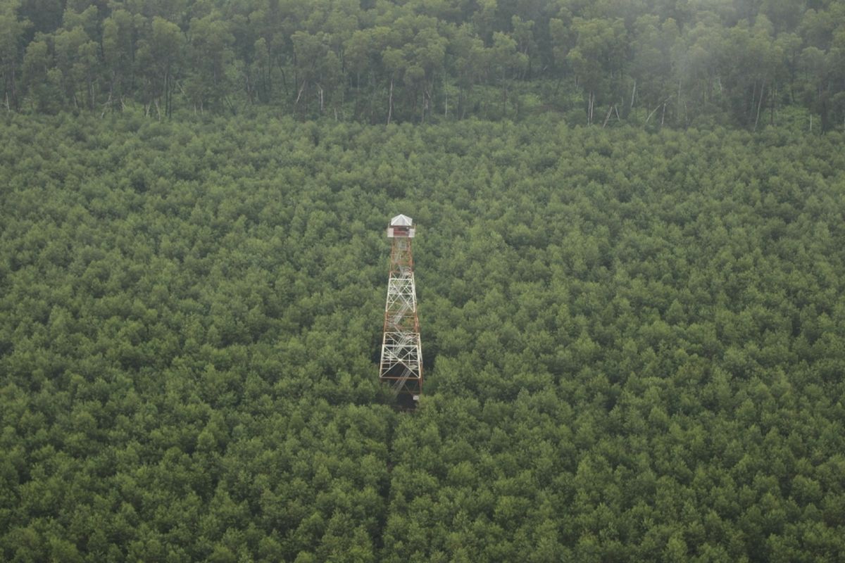 Salah satu menara api milik Asia Pulp and Paper Sinar Mas di Kabupaten Ogan Komering Ilir (OKI), Sumatera Selatan, Kamis (9/3/2017). Menara api ini menjadi tempat petugas APP Sinar Mas untuk memantau titik api.