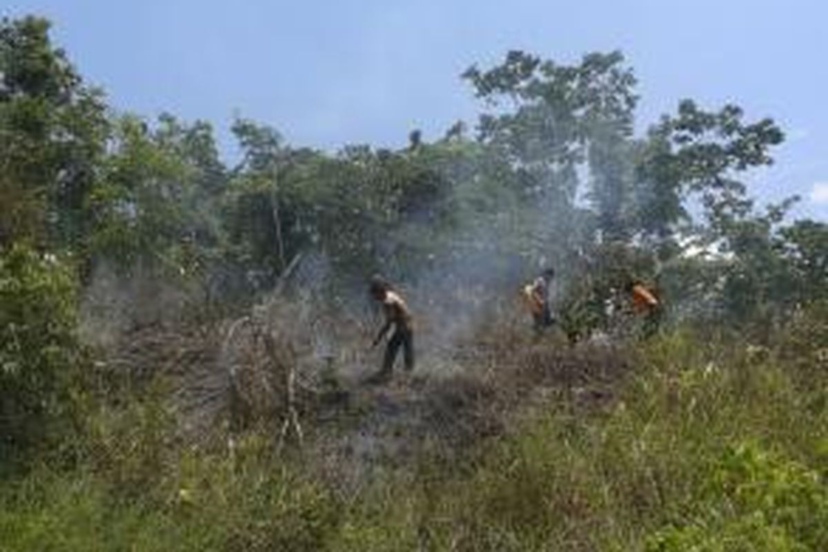 Pemadaman kebakaran hutan diwilayah Perbukitan Distrik Abepura, Kota Jayapura, Kamis (22/10/2015).