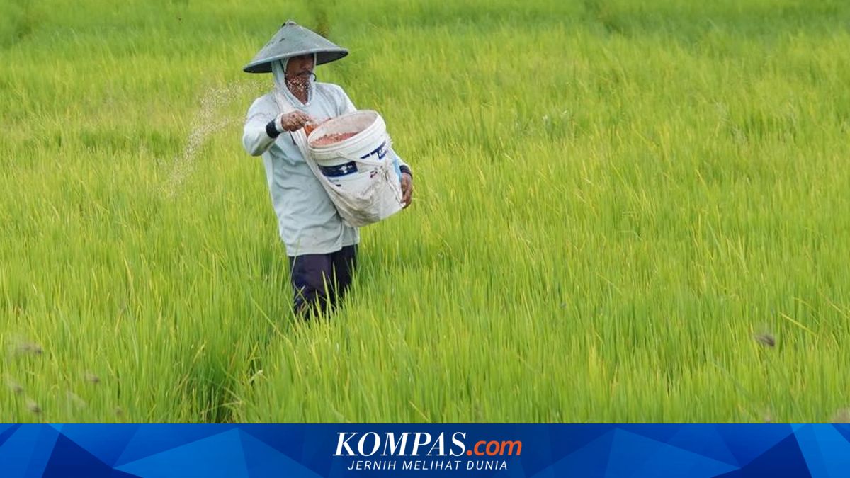 Biaya Naik Lebih Cepat, Nilai Tukar Petani Turun di Juni 2026