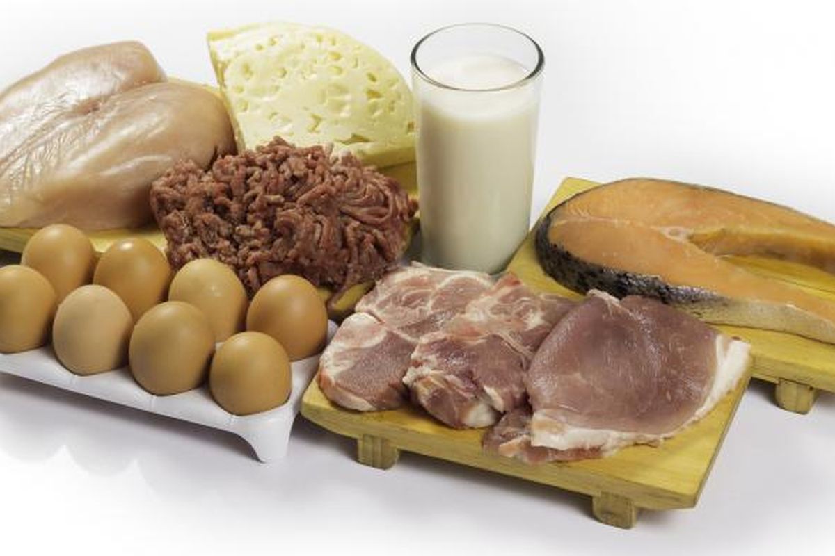 Ilustrasi makanan sumber protein hewani.