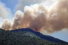 Apa yang terjadi Jika Banyak Menghirup Asap Kebakaran Hutan?