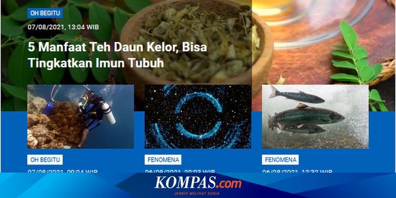 [POPULER SAINS] Catatan Karang tentang Perubahan Iklim Indonesia | Ada Cincin Raksasa di Sekitar Lubang Hitam - Vimarsana News