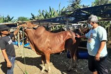 Penjual Hewan Kurban di Surabaya: Berapa Pun Terjual Disyukuri Saja, Semoga Pandemi Segera Berakhir