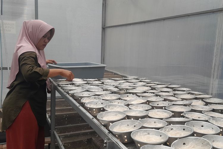 Proses pengovenan mi kristal rumput laut di Dapur Kreatif Agar Makmur, Desa Pisangsambo, Tirtajaya, Karawang, Jawa Barat, Rabu (30/10/2024).