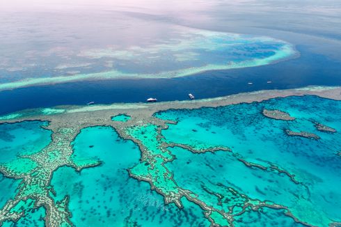 Polemik Great Barrier Reef, Antara 