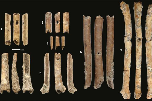 Seruling Kuno Berusia 12.000 Tahun Ditemukan di Israel
