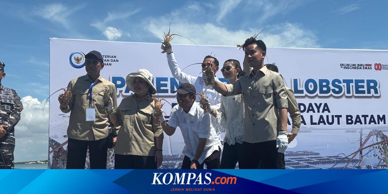 Kompaknya Wapres Gibran dan Titiek Soeharto Panen Lobster di Batam, Kepala Bapissus Juga Ikut